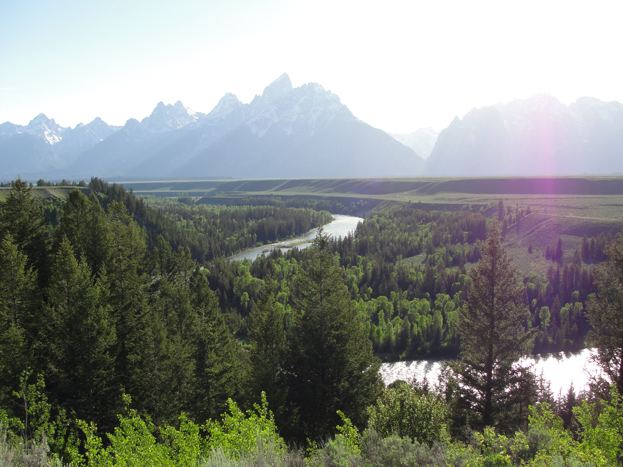 grand teton jackson hole