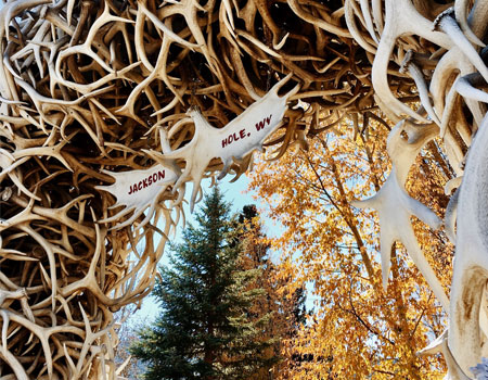 Visiting Jackson Hole in the Fall Visiting Jackson Hole in the Fall