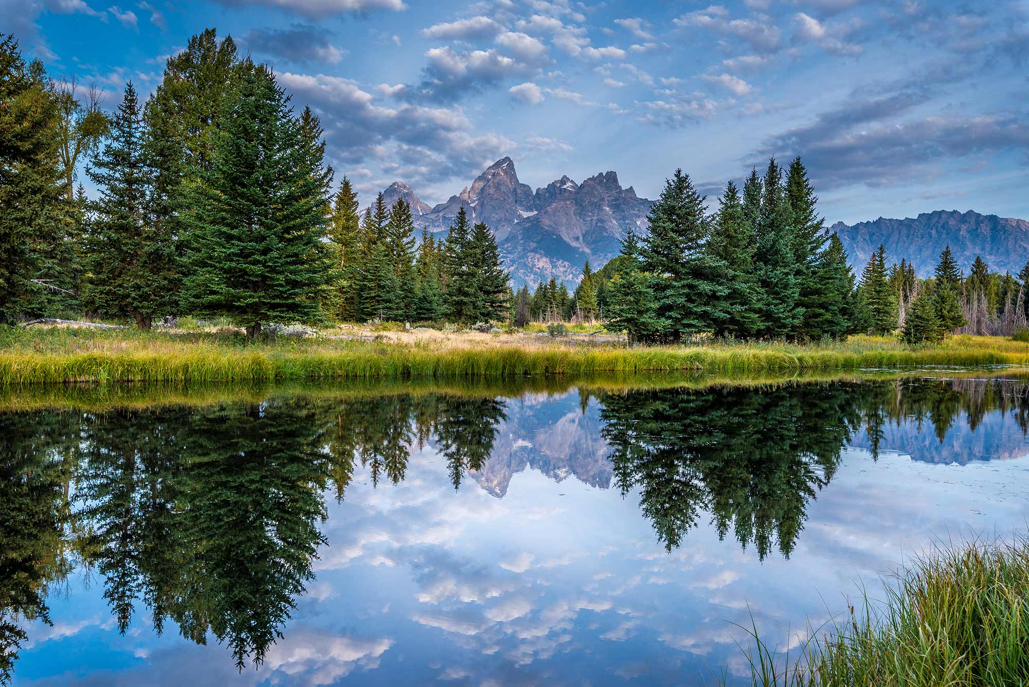 Schwabacher's Landing Teton View Summer