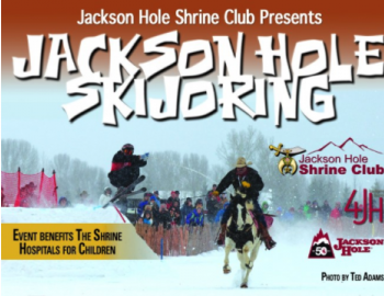 skijouring jackson hole