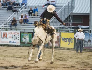 jackson hole rodeo