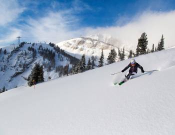 powder skiing jackson hole