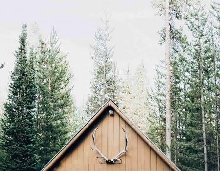 cabin with antlers in the woods