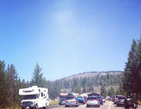 jackson hole traffic