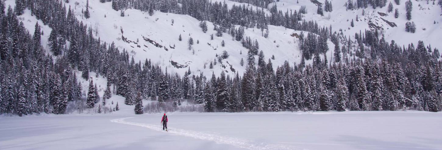 Lone Skier In Winter