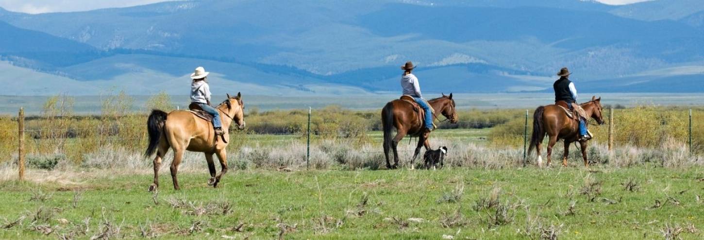 Three people riding horses across field in front of mountain scene.