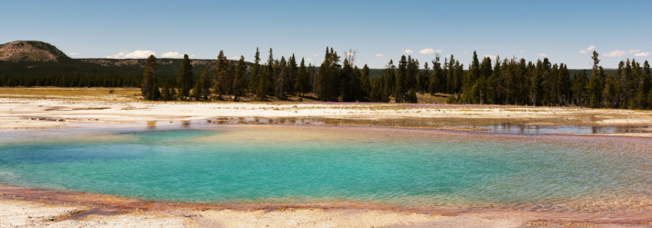 Yellowstone Geyser