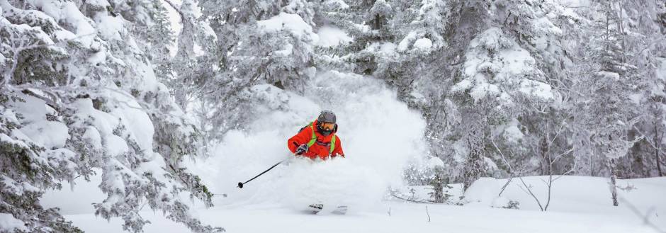 Thanksgiving 2021 in Jackson Hole