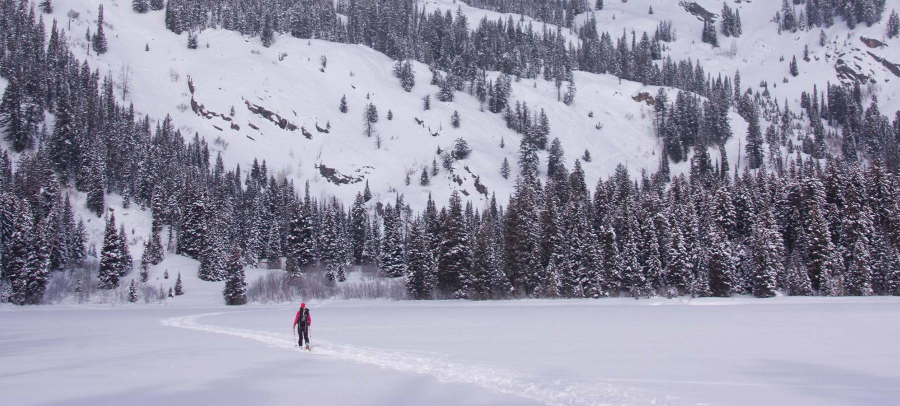 Lone Skier In Winter