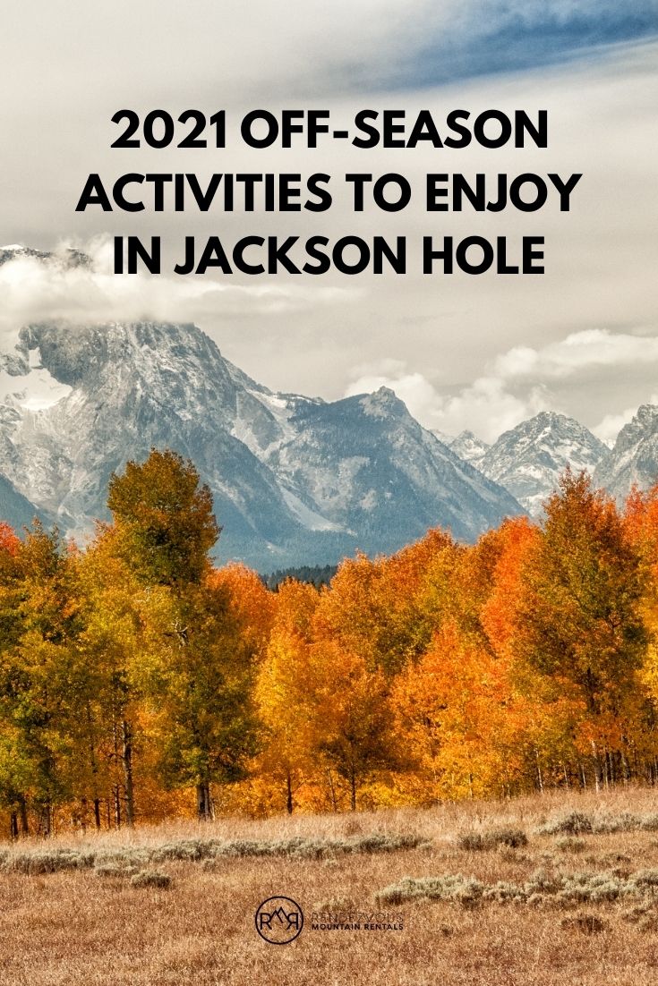 Orange and yellow aspen trees in front of Grand Tetons in Jackson Hole