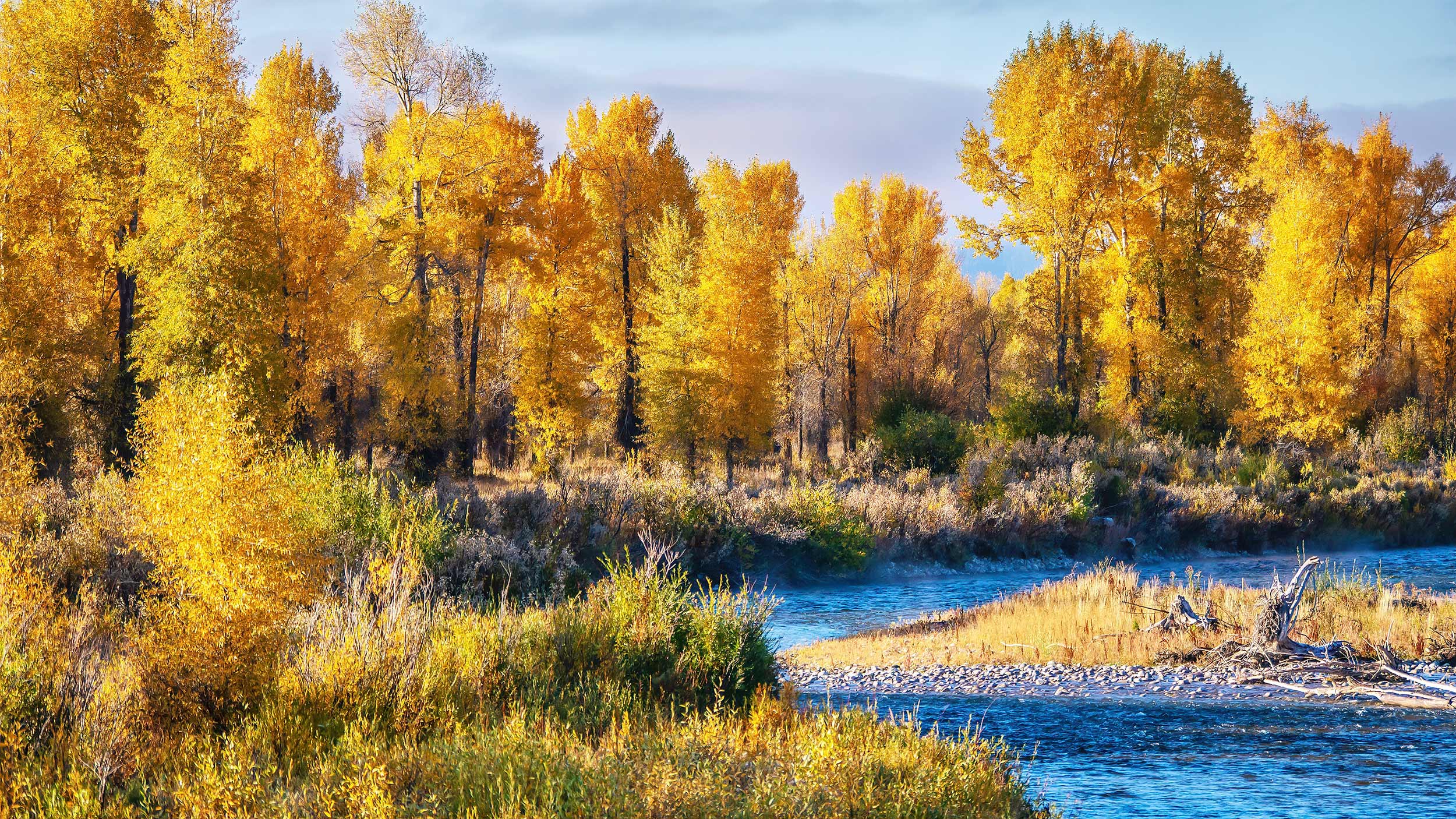 Autumn In Jackson Hole River Teton Cottonwoods Fall