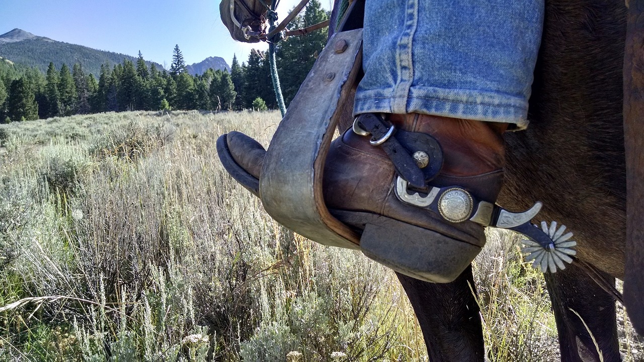 cowboy boots jackson hole
