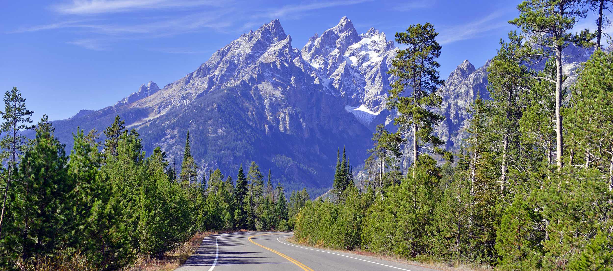 Road in Grand Teton National Park