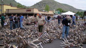 elk fest jackson hole