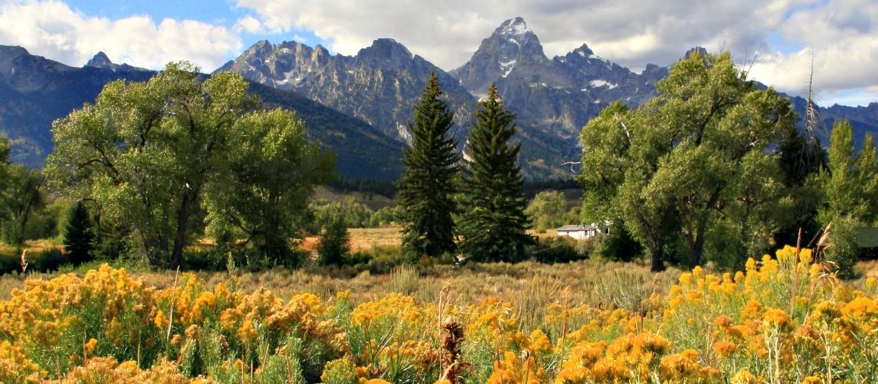 Fall Colors in Jackson Hole, Wyoming