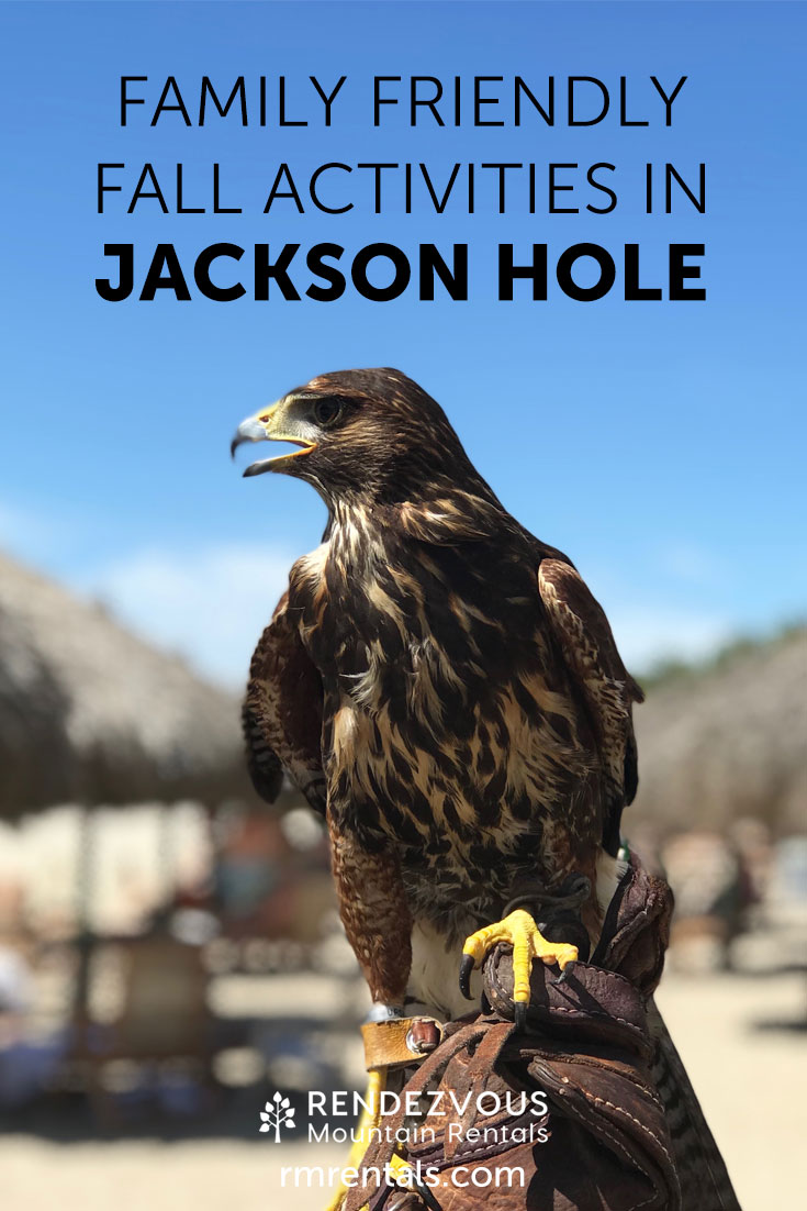 Family Friendly Activities in Jackson Hole