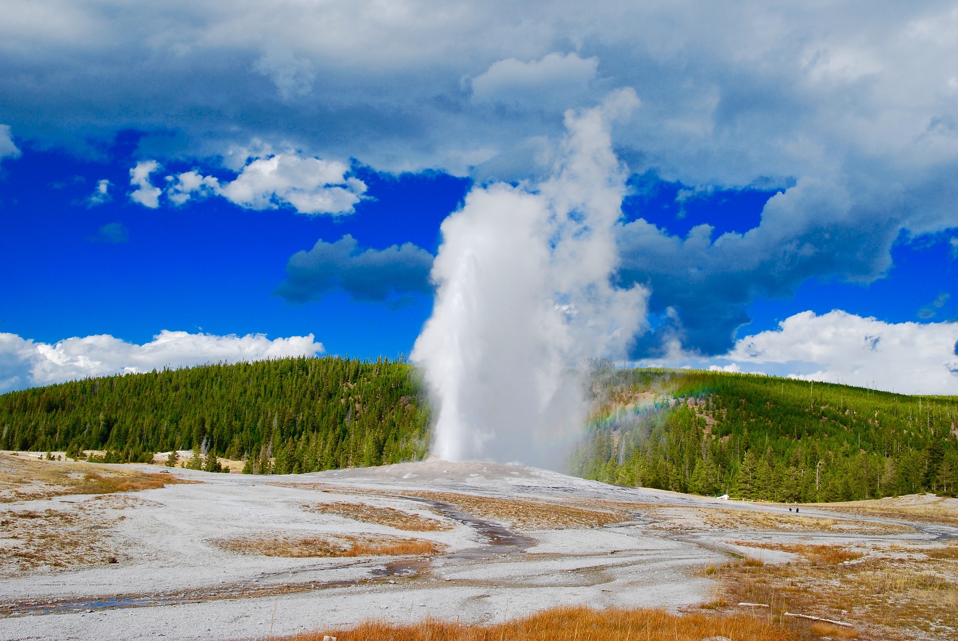 geyser yellowstone