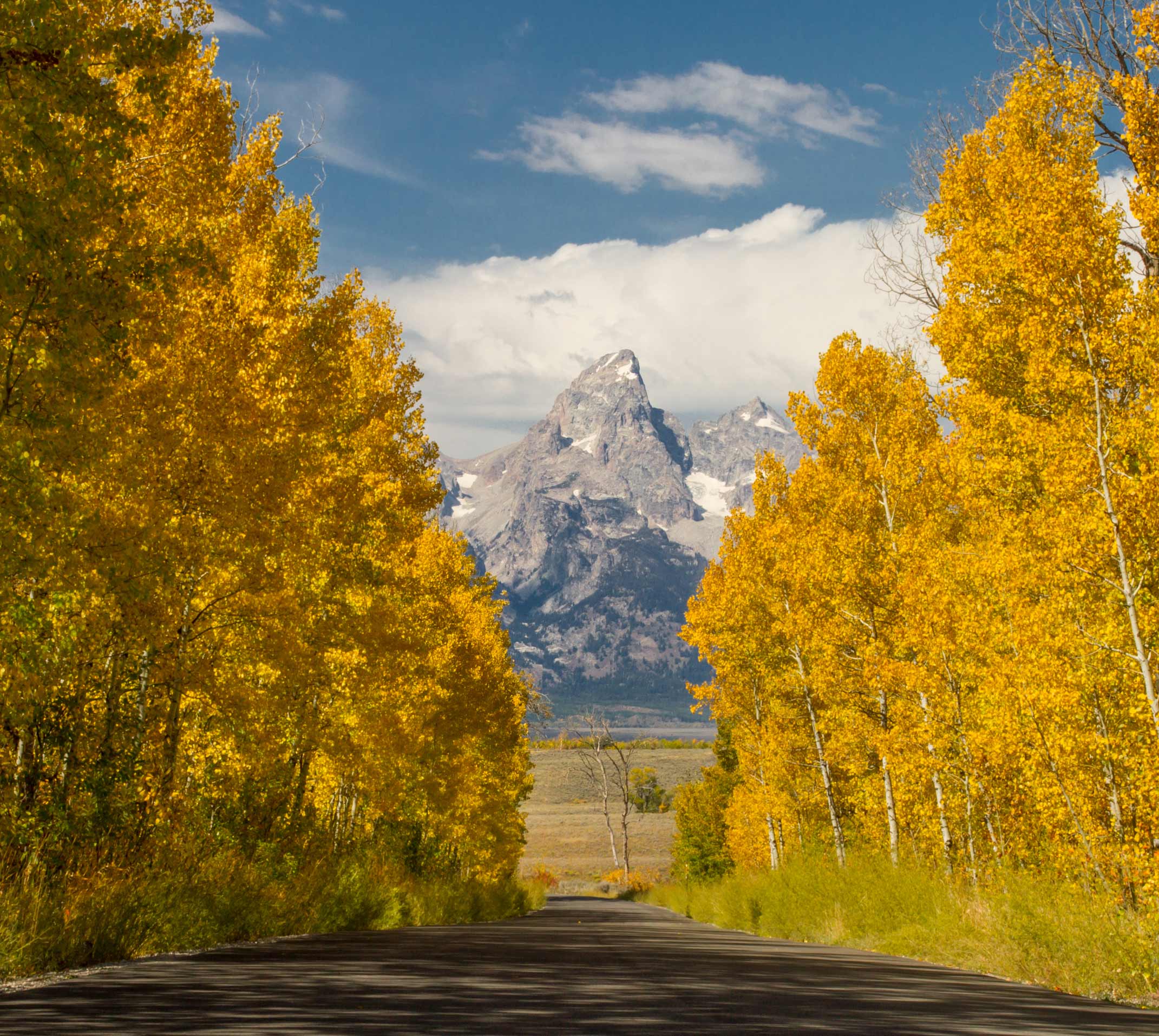 Tetons Aspens Fall Road