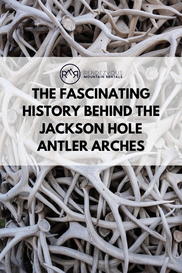 Elk antlers. Text reads: " The Fascinating History Behind the Jackson Hole Antler Arches."