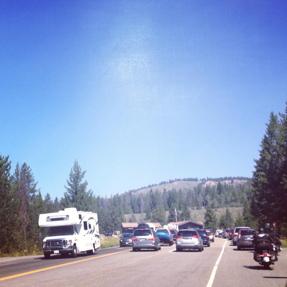 jackson hole traffic