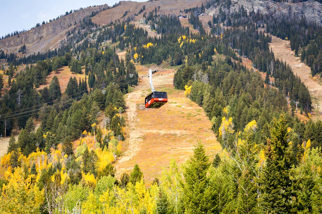 Jackson Hole Tram Fall