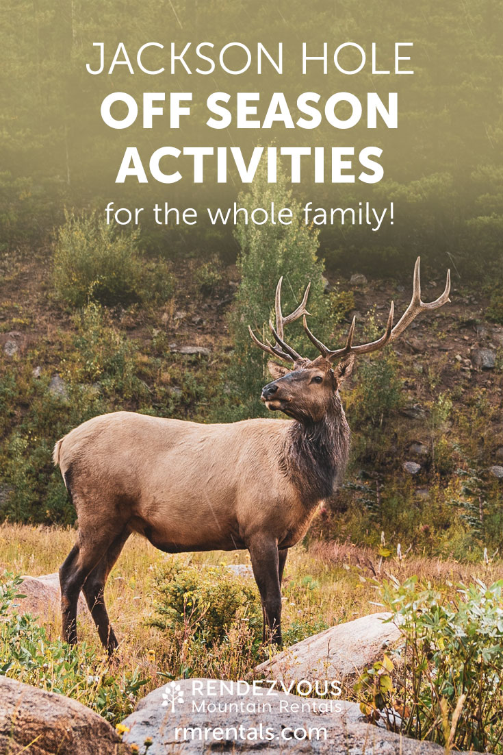 Off Season Activities For The Whole Family Rendezvous Mountain Rentals