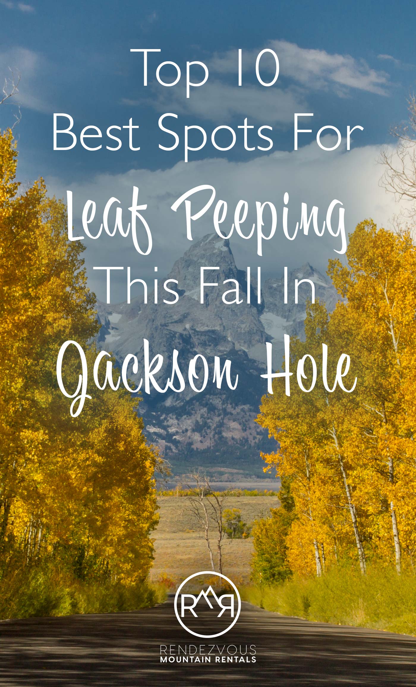 Leaf Peeping In Jackson Hole