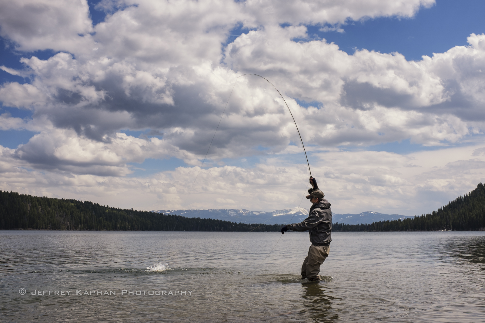 fly fishing jackson hole