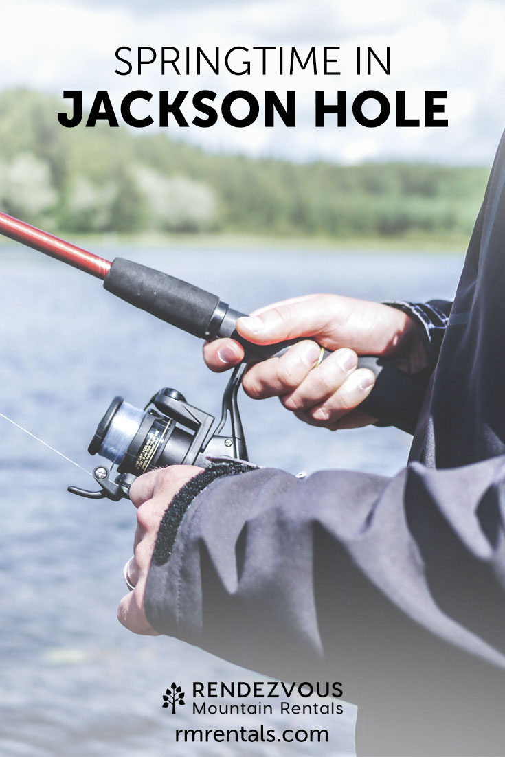 Fishing Jackson Hole