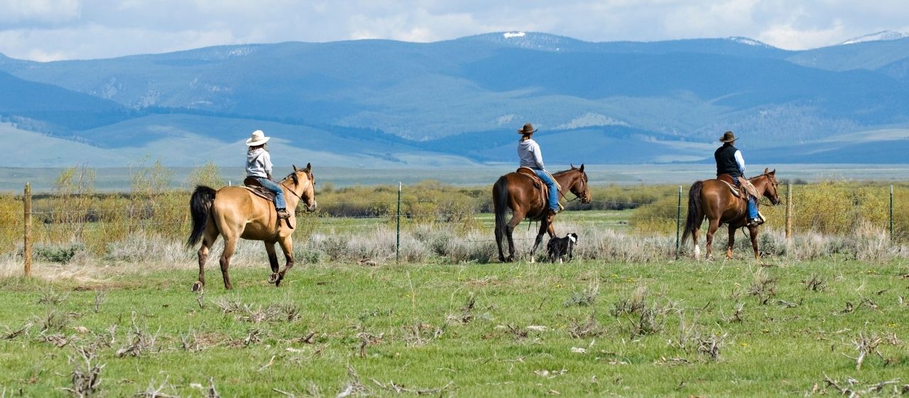 Three people riding horses across field in front of mountain scene.