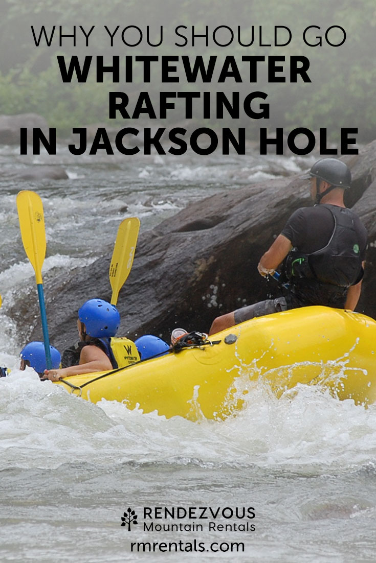 Whitewater Rafting in Jackson Hole