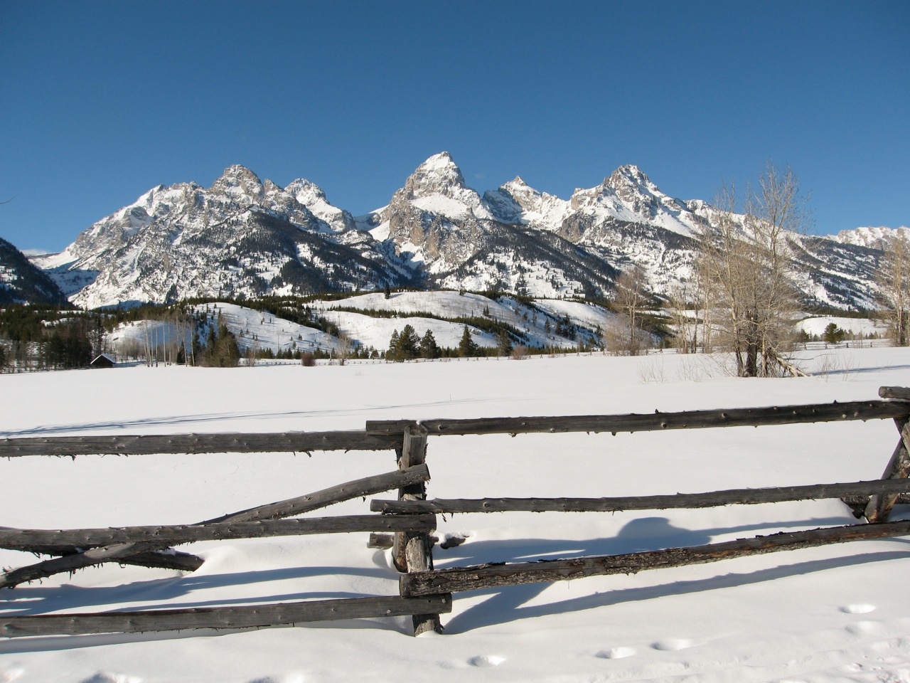 winter jackson hole