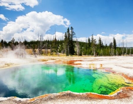 Yellowstone Geyser