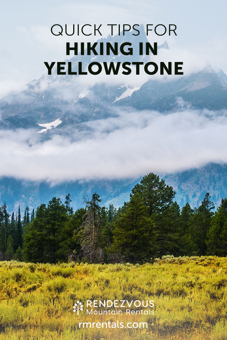 Hiking in Yellowstone National Park